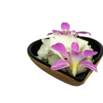 Buddha worship ceramic set බුද්ද වන්දනා සෙරමික් කට්ටලය