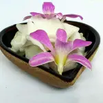 Bopath flower pot NO 01 CLASSIC W18 (CERAMIC)